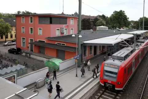 hbf-sp1