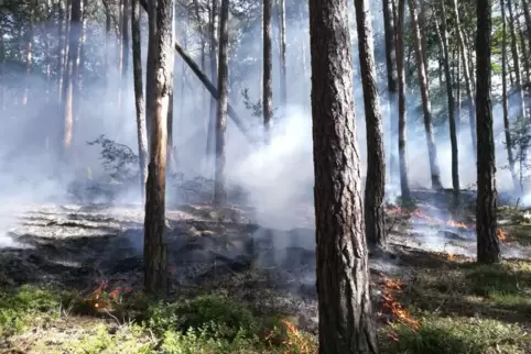 Die Feuerwehr will besser auf Waldbrände vorbereitet sein.