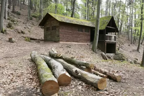 Der Wald rund um die Anlage wird aufgeräumt.