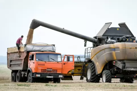 Bis zum Ausbruch des Krieges galt die Ukraine als eine der Kornkammern der Welt. Unser Bild zeigt die Getreideernte im Südosten 