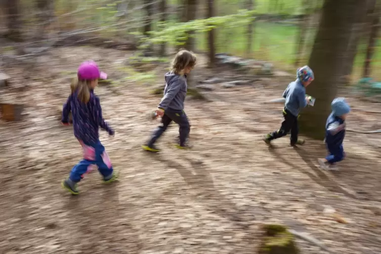 Aufwachsen in der Natur: Für Kinder in einer Wald-Kita-Gruppe ganz normal.