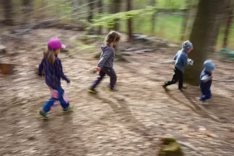 Aufwachsen in der Natur: Für Kinder in einer Wald-Kita-Gruppe ganz normal.