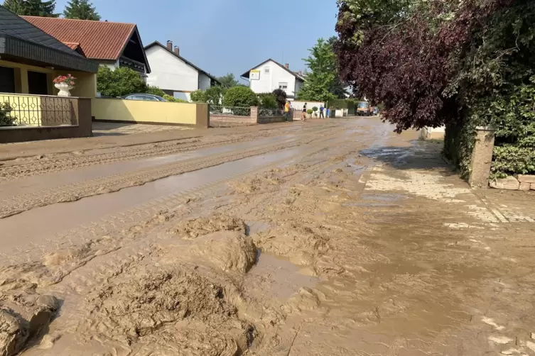 Mit Schlamm überschwemmte Schwegenheimer Straße in Mechtersheim: Bilder wie dieses aus dem vergangenen Jahr soll es nach den Sch