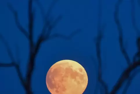 Die Reise zum Mond nach Jules Verne ist auch ein Teil der Reihe.