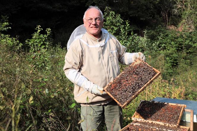 Rüdiger Muckel hat im Winter mehr als die Hälfte seiner Bienenvölker verloren.