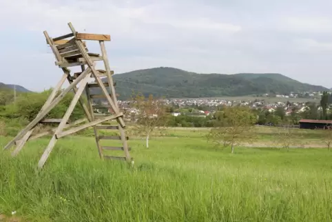 Auch die Feuerwehr und der Bauhof ziehen auf das 2,5 Hektar große Areal Richtung Heuchelheim-Klingen. 