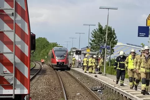 Der Zug im Bahnhof Insheim. 
