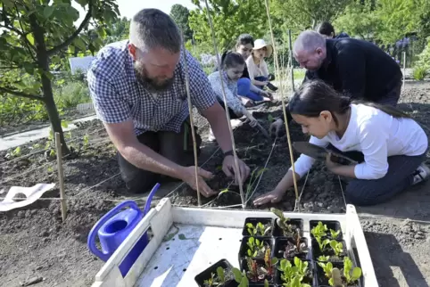Pflanzaktion der Bliesschule: Gartenarbeit findet in der Hocke oder auf den Knien statt.