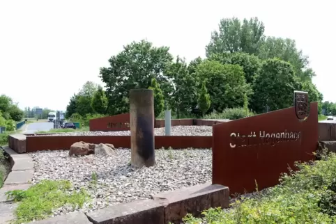 Aus Versehen gefällt: die Bäume in der Mitte des Kreisels.