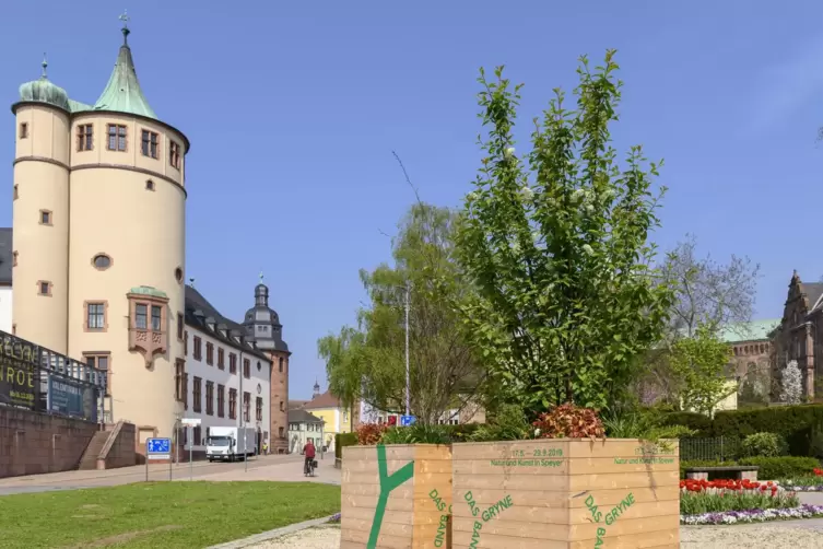 Besonders die Sportler treibt es im Sommer in Speyer auf die Klipfelsau. 