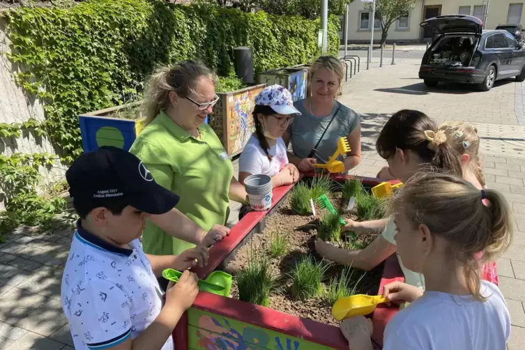 Schüler der Dekan-Ernst-Schule helfen Susanne Stoica (2.v.l.) beim Schnittlauchpflanzen. 
