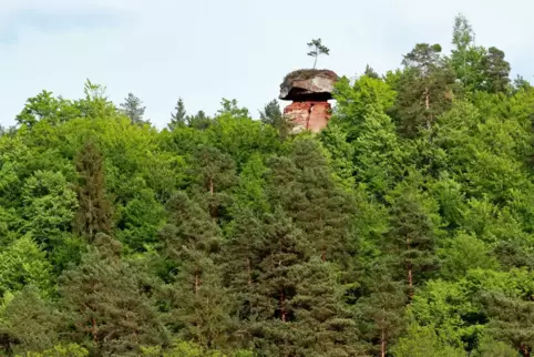 Markantes Wahrzeichen Hinterweidenthals ist der Teufelstisch.