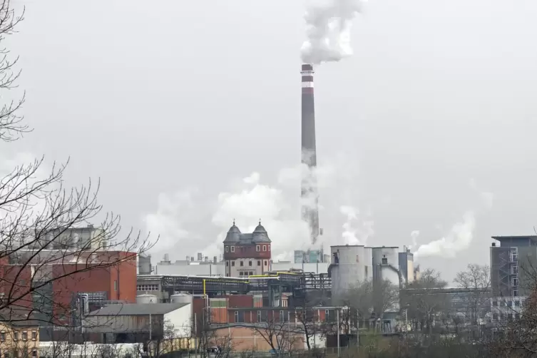 Die Industriestadt Mannheim hat beim Klimaschutz andere Herausforderungen ...