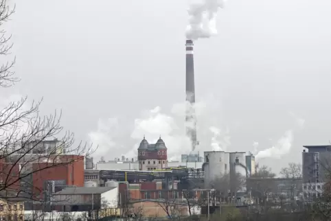 Die Industriestadt Mannheim hat beim Klimaschutz andere Herausforderungen ...