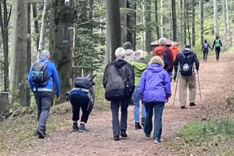 1153 bei 88 Naturführungen verzeichneten die Naturführer Pfalz im vergangenen Jahr. Das Programm für dieses Jahr steht. 