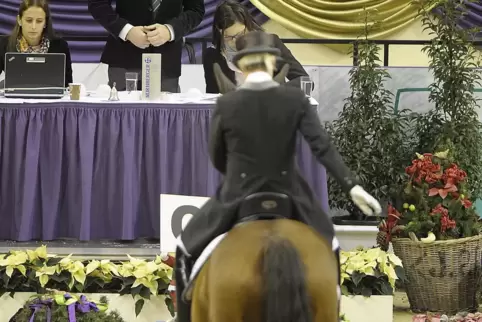 Dietrich Plewa als Richter 2013 beim Nürnberger Burg-Pokal mit Ute Gräf und Damon Jerome. 