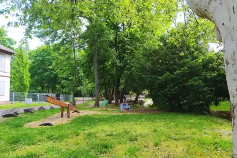 Am Dicken Baum in Dirmstein soll ein Bacherlebnisbereich mit vielen Sitz- und Spielmöglichkeiten entstehen. 