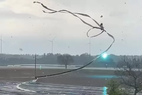 Lichtblitz: Eine bei Kandel durch die Luft gewirbelte Folie trifft auf eine Mittelspannungsleitung der Pfalzwerke.