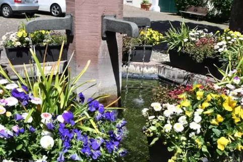 Ehrenamtliche haben den Seebacher Dorfbrunnen in Eigeninitiative mit Blumen geschmückt. 