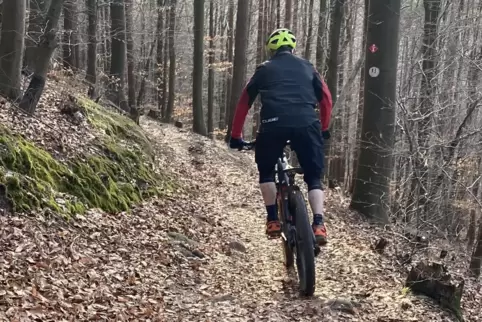 An der Haardt sollte der Pfälzerwald für Mountainbiker mehr bieten, meinen die Kandidaten. 