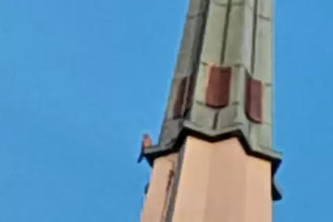 Blickt vom Turm der Christuskirche auf Speyer-Nord: mutmaßlicher Turmfalke. Blickt vom Turm der Christuskirche auf Speyer-Nord: mutmaßlicher Turmfalke.