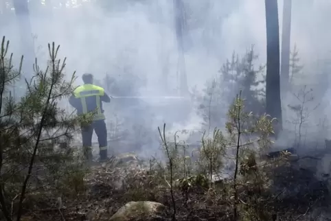 Die Feuerwehr beim Einsatz im Wald bei Leistadt. 