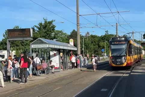 Viele Fahrgäste strandeten am Mittwoch an der Haltestelle Rheinbergstraße in Knieliningen.