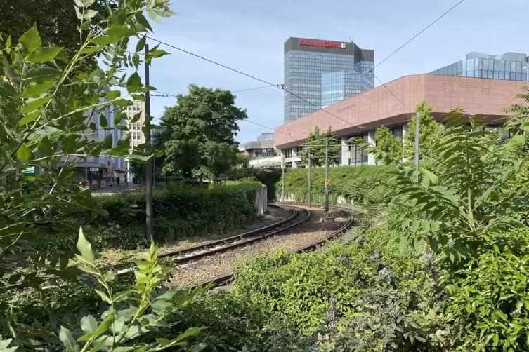 Die Stra&szlig;enbahneinfahrt unter das Rathaus-Center.