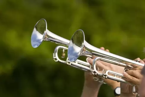Verschiedene Blasinstrumente können beim Waldfest getestet werden. 