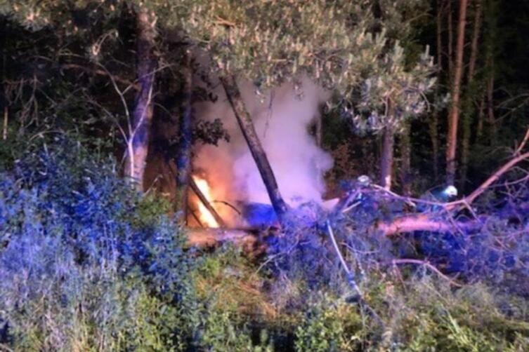 Das brennende Auto im Wald war von zufällig vorbeikommenden Bundespolizisten bemerkt worden. 
