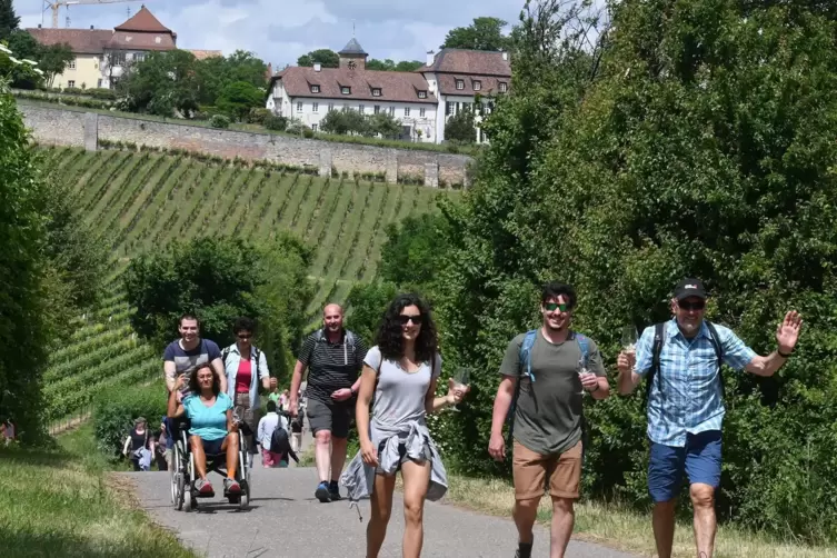Bei guter Stimmung: die Weinwanderer in Herxheim am Berg.