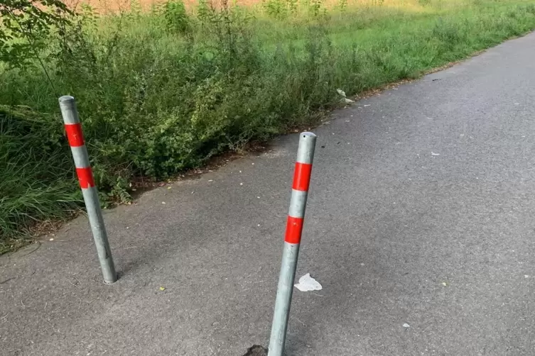 &Auml;hnliche Poller wie diese versperrten kurze Zeit den &bdquo;Roten Weg&ldquo;. Sie wurden allerdings h&auml;ufig umfahren. 