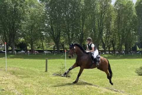 Bei strahlend schönem Wetter treibt Tanja Uhrmacher von der RSG Hunsrück Höhen ihr Pferd Voices of King in der Geländeprüfung Kl Bei strahlend schönem Wetter treibt Tanja Uhrmacher von der RSG Hunsrück Höhen ihr Pferd Voices of King in der Geländeprüfung Kl