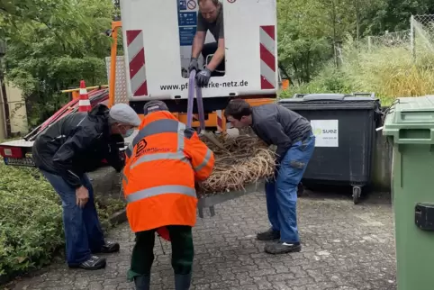 Das Nest wird an den Hubsteiger gebunden. 
