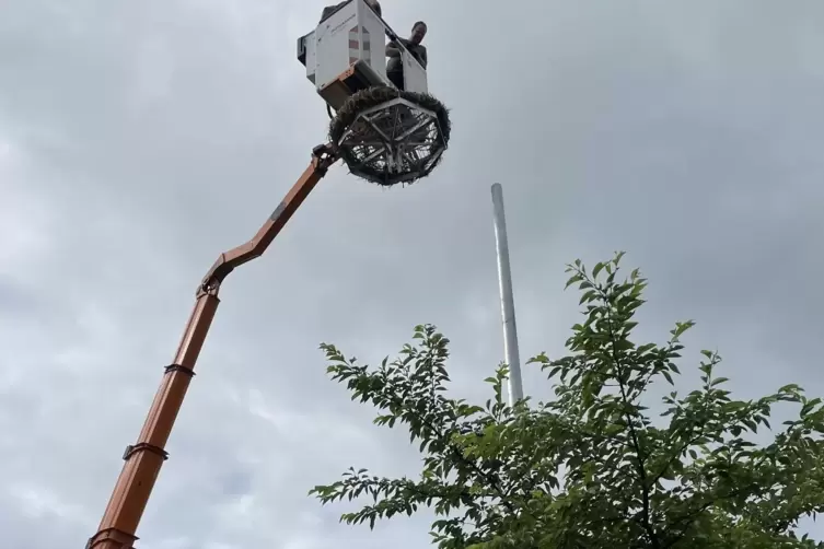 Das Nest wird zum Masten gefahren. 