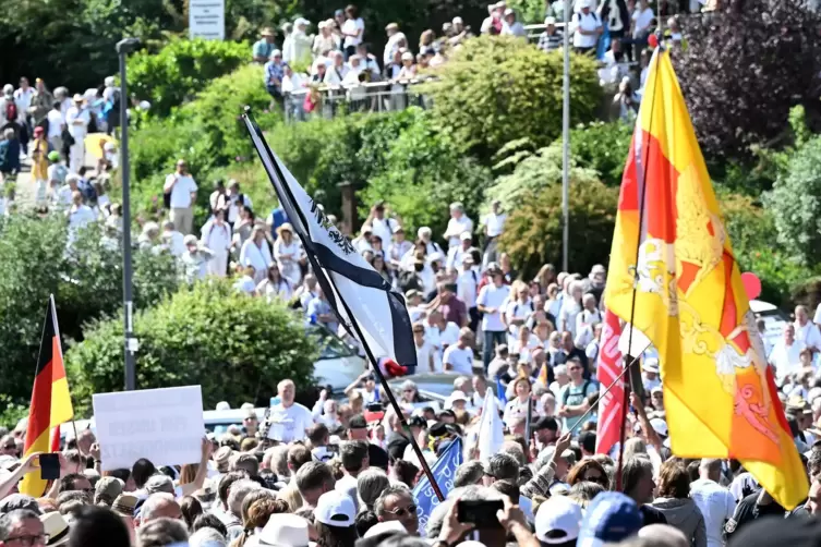 Gegendemo unterm Schloss.