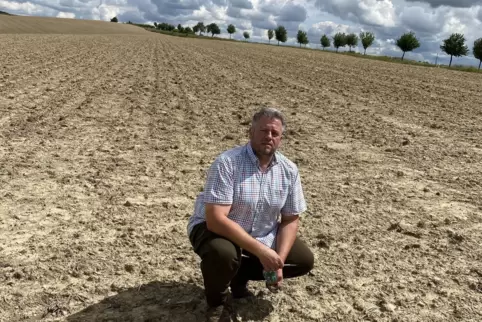  Landwirt Christian Glahn auf einem seiner Maisfelder in der Nähe von Zweibrücken. Den Mais haben Saatkrähen ausgezupft.