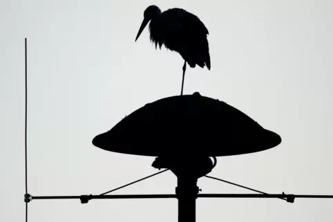 In der Verbandsgemeinde Maxdorf wurden die Sirenen getestet. 