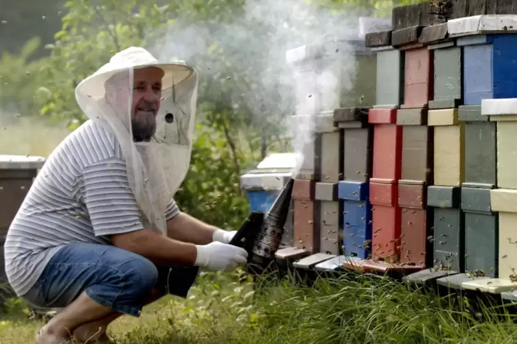 Die Digitalisierung könnte auch für Imker interessant werden: Der Umwelt-Campus Birkenfeld forscht zu Sensoren, die Bienenstöcke