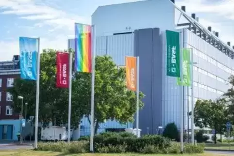 das aktuelle foto_basf zeigt flagge_am tor 7.jpg.dynamic.414w.6db7789eda5d93ce81e89dccc9b47e17e72b193c