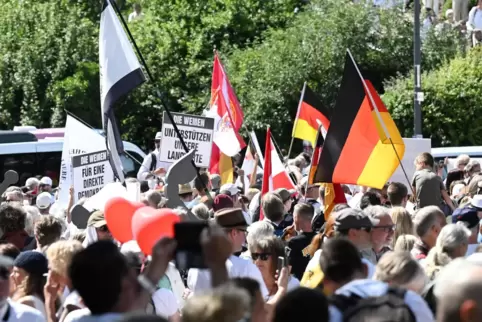 Die „Weißhemden“ haben auf dem Hambacher Demokratiefest für Tumult gesorgt. 