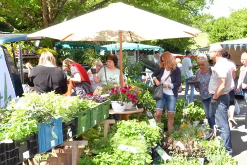 2019 fand zum letzten Mal der Bauern- und Gärtnermarkt in Nünschweiler statt. Coronabedingt. Am Pfingstmontag ist es wieder so w