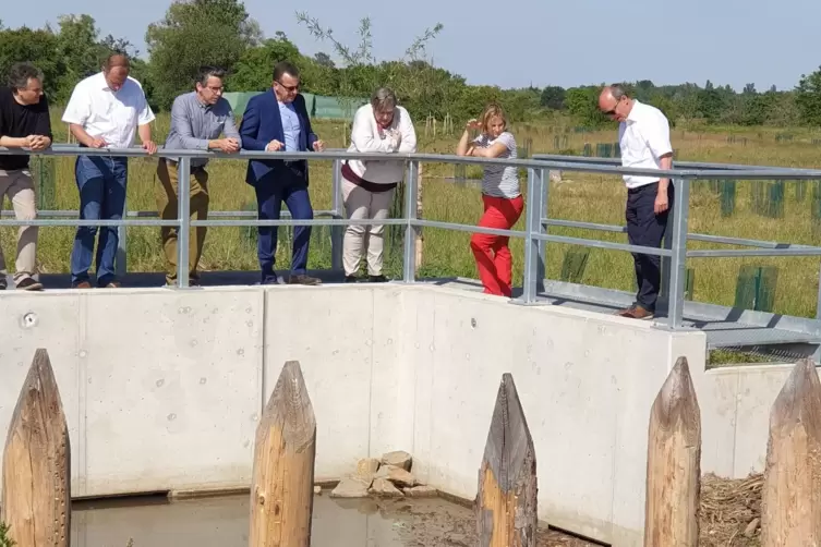 Ministerin Katrin Eder (rote Hose) brachte nicht nur Geld mit, sondern sah sich das Hochwasserschutzprojekt auch vor Ort in Ungs