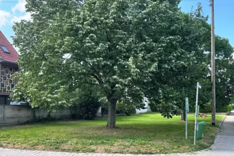 Die Grünfläche an der Ecke Just-/Röntgenstraße soll ein Spielplatz werden.