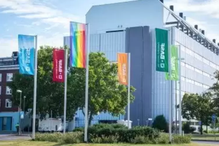 das aktuelle foto_basf zeigt flagge_am tor 7.jpg.dynamic.414w.6db7789eda5d93ce81e89dccc9b47e17e72b193c