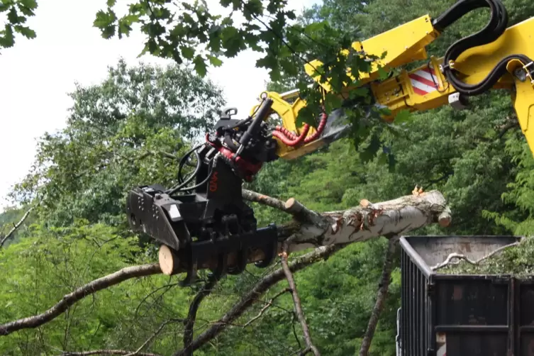 Der F&auml;llgreifer ist mit einer Motors&auml;ge ausgestattet. 