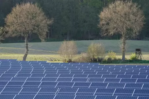 Am Ortsausgang Herschweiler-Pettersheims in Richtung Konken könnte eine PV-Freiflächenanlage entstehen. 