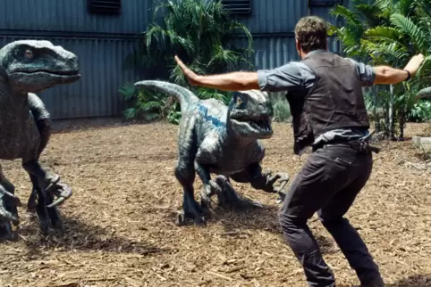 Veteranenkampf: Owen Grady (Chris Pratt) und Dinosaurier, eine Szene aus „Jurassic World“. 
