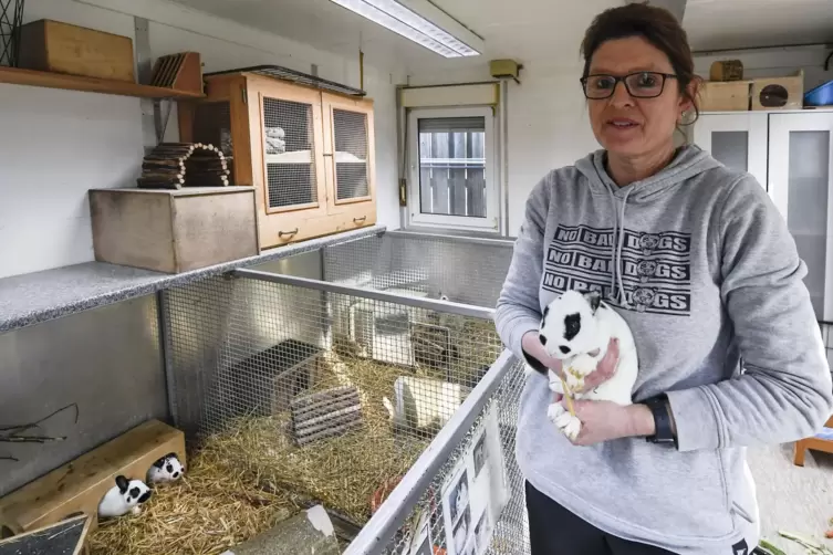 Kleintiere wie dieses Kaninchen, vor allem aber Katzen, wollen Simone Jurijiw und ihr Team vom Tierschutzverein in zusätzlichen 