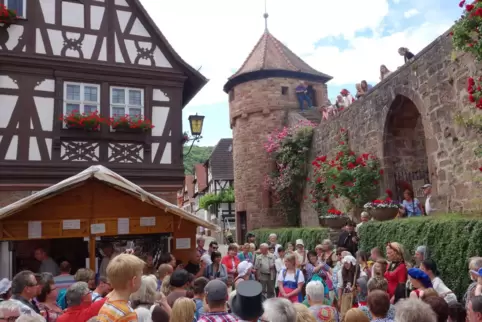 In Dörrenbach steht am Wochenende das Dornröschen-Fest an.